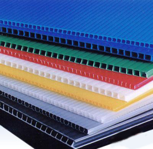 Twinwall/ Coreflute/ Corrugated/ PP Plastic Sheet